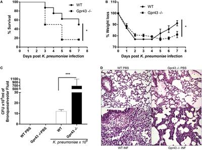 The Metabolic Sensor GPR43 Receptor Plays a Role in the Control of Klebsiella pneumoniae Infection in the Lung